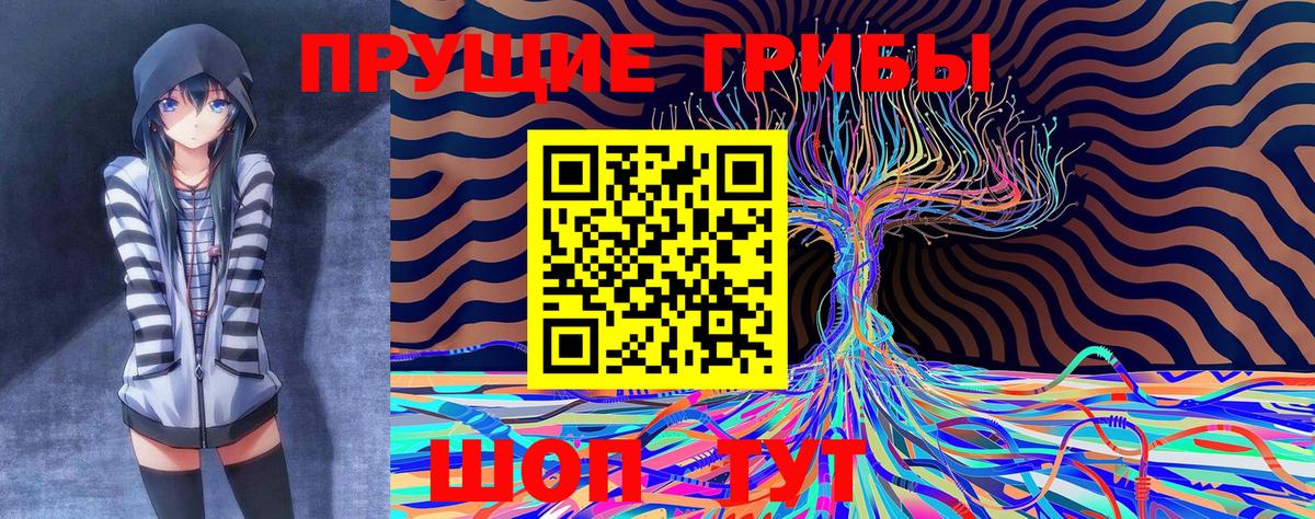 Галлюциногенные грибы мухоморы  закладка  Заинск  Вход с VPN 