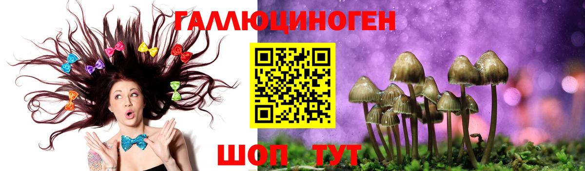 Псилоцибиновые грибы GOLDEN TEACHER Заинск